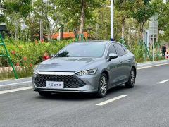 BYD Qin Plus DM-i 55KM Flagship - photo 1