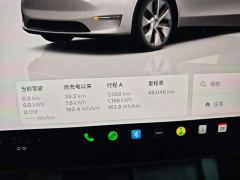 Tesla Model Y Rear-Wheel Drive - ფოტო 11