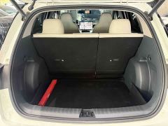 Geely Xing Yuan 310km Dream Edition - ფოტო 18