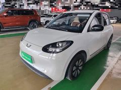 Wuling Binguo 203km Light Enjoy Edition - photo 1