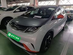 BYD Dolphin 405km Freedom Edition - ფოტო 1