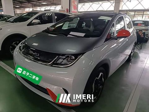 2022 BYD Dolphin 405km Freedom Edition - ავტომობილი ჩინეთიდან