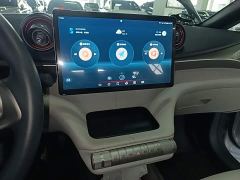 BYD Dolphin 405km Freedom Edition - ფოტო 12