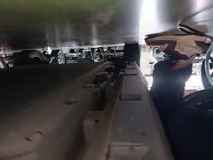 BYD Dolphin 405km Freedom Edition - ფოტო 20