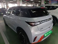 BYD Dolphin 405km Freedom Edition - ფოტო 4