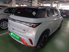 BYD Dolphin 405km Freedom Edition - ფოტო 6