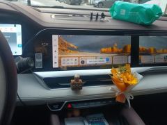 Geely Xingyue L 2.0T Dual Clutch 2WD Premium - ფოტო 17