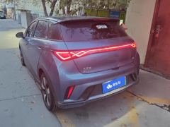 BYD Dolphin Honor Edition 401km Knight Edition - ფოტო 2