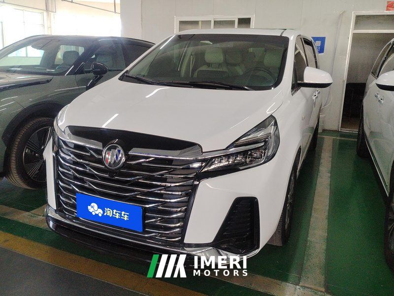 Buick GL8 Land Business Class 2.0T Luxury Edition 7-seater