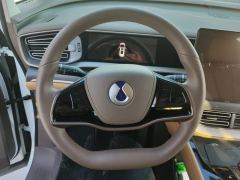 Denza D9 DM-i970AWD Version - ფოტო 18