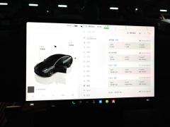 Tesla Model 3 675km Performance High-Performance AWD Version - ფოტო 20