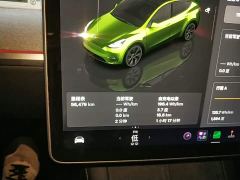 Tesla Model Y Rear-Wheel Drive - ფოტო 11
