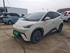 BYD Seagull Glory Edition 305km Vitality Version - ფოტო 1