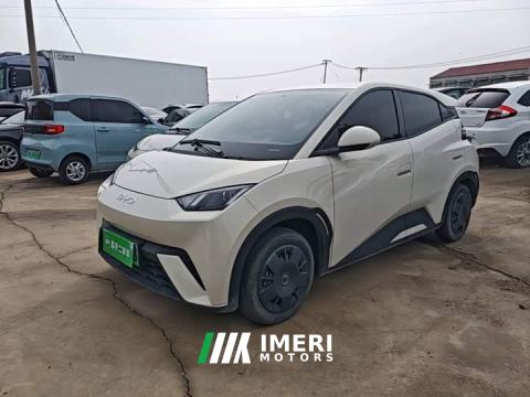2024 BYD Seagull Glory Edition 305km Vitality Version - ავტომობილი ჩინეთიდან