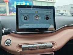 BYD Seagull Glory Edition 305km Vitality Version - ფოტო 12