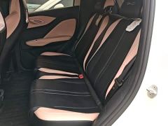 BYD Seagull Glory Edition 305km Vitality Version - ფოტო 16