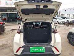 BYD Seagull Glory Edition 305km Vitality Version - ფოტო 18