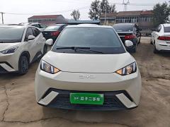 BYD Seagull Glory Edition 305km Vitality Version - ფოტო 2
