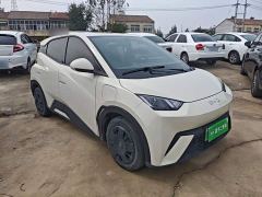 BYD Seagull Glory Edition 305km Vitality Version - ფოტო 3