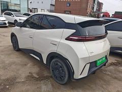 BYD Seagull Glory Edition 305km Vitality Version - ფოტო 4
