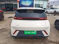 BYD Seagull Glory Edition 305km Vitality Version - ფოტო 5