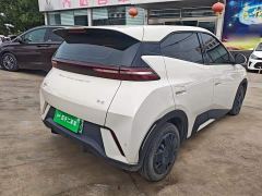 BYD Seagull Glory Edition 305km Vitality Version - ფოტო 6