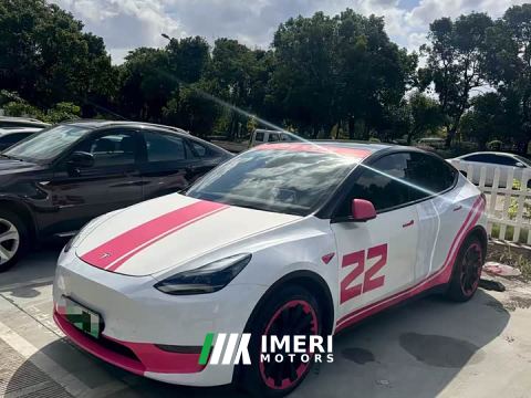2021 Tesla Model Y Standard Range RWD - car from China