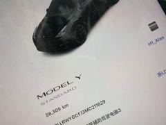 Tesla Model Y Standard Range RWD - фото 6