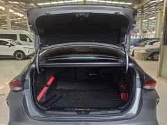 Trumpchi Leopard 270T DCT J16 - photo 18