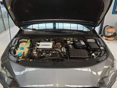 Trumpchi Leopard 270T DCT J16 - photo 19