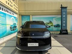Luxeed Zhiji V9 Max - ფოტო 2
