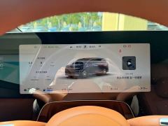 Luxeed Zhiji V9 Max - ფოტო 9