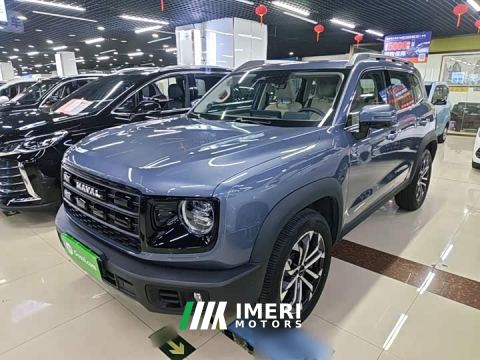 2025 Great Wall Dachshund 1.5T DCT Border Collie Edition - ავტომობილი ჩინეთიდან