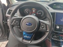 Subaru Forester 2.5L STI Sport Plus - ფოტო 18