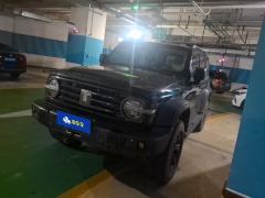 Tank 300 Off-Road Edition 2.0T Conqueror - photo 1