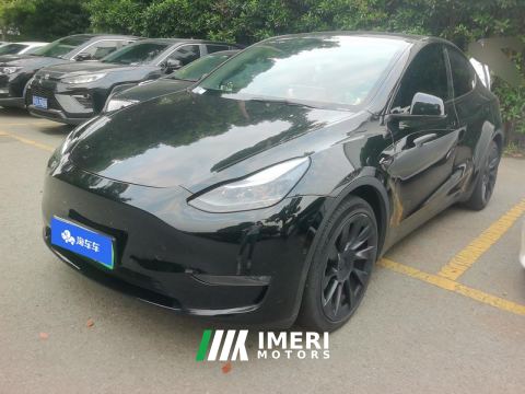 2021 Tesla Model Y Standard endurance rear-wheel drive - ავტომობილი ჩინეთიდან