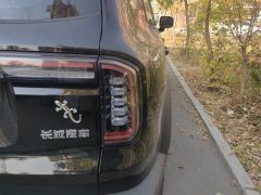 Haval Great Wall Big Dog Great Wall Dog 1.5T 2WD Edge Pastoral Edition - ფოტო 5