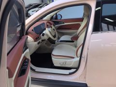 Ora Great Wall Good Cat 401km Standard Range Edition - ფოტო 14