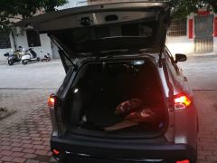 Toyota Frontlander 2.0L Elite Edition - photo 7
