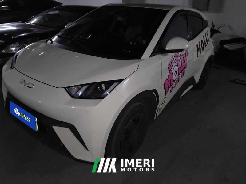 BYD Seagull Honor Edition 305km Vitality Edition - ავტომობილი ჩინეთიდან