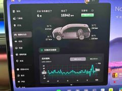 NIO ES8 Seven-Seat Executive Luxury Edition - ფოტო 15