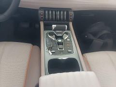 BYD Yuan Plus Champion Edition 510KM Leading - ფოტო 13