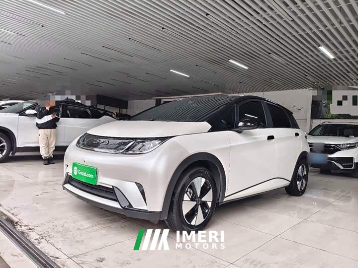 BYD Dolphin 420km Fashion Edition