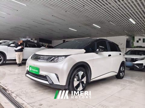 2023 BYD Dolphin 420km Fashion Edition