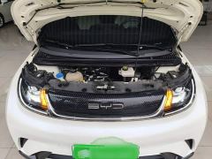 BYD Dolphin 420km Fashion Edition - photo 19
