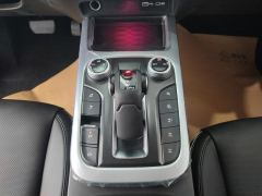 Tank 300 Off-Road Edition 2.0T Conqueror - photo 19