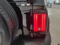 Tank 300 Off-Road Edition 2.0T Conqueror - photo 5