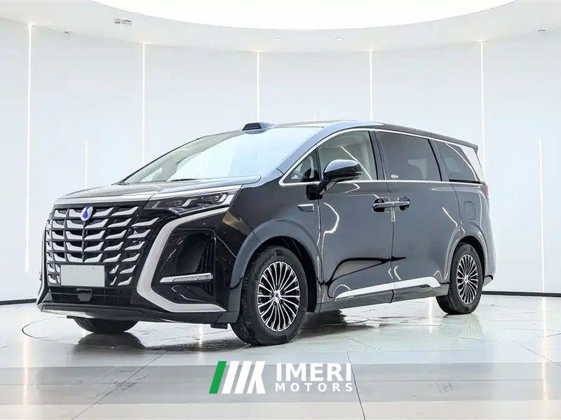 Denza D9 DM-i 1.5T 200km Exclusive Frontrunner 7-seater - car from China