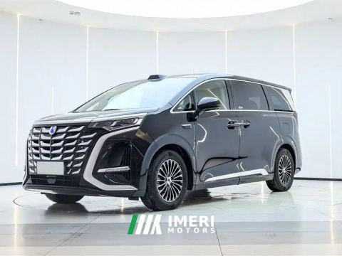 2024 Denza D9 DM-i 1.5T 200km Exclusive Frontrunner 7-seater - car from China