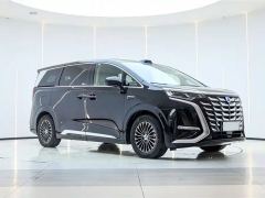 Denza D9 DM-i 1.5T 200km Exclusive Frontrunner 7-seater - photo 3